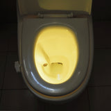 8 Color LED Toilet Light With Smart human Motion Sensor