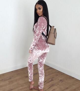 Two Piece Set Velvet Hoodies Tracksuit