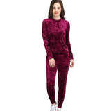 Plus Size Two Piece Set Velvet Hoodies Tracksuit